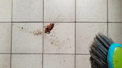 Tragic Fire in South Korea Sparked by Attempt to Kill Cockroach