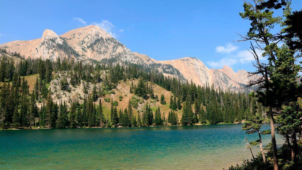 Bozeman’s Boom: Private Jets and the Plight of Trailer‑Park Residents