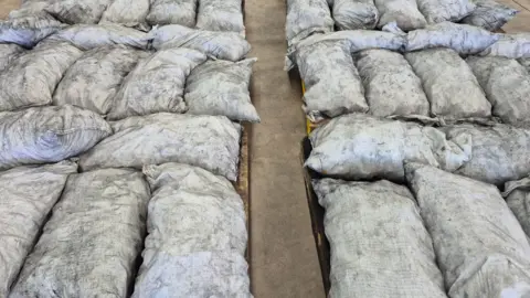 Actress Faces Life‑Sentence After 300‑kg Meth Smuggling Scheme