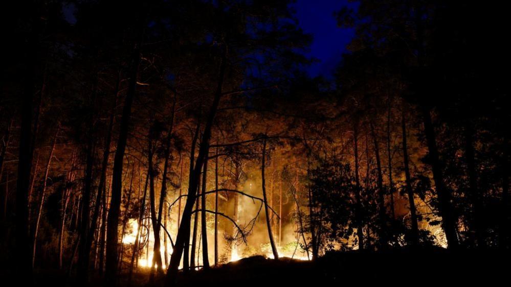 Wildfire burning in Noisy-sur-Ecole near Fontainebleau, southern Paris