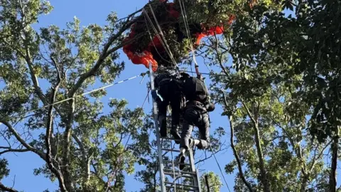Tragic Fatality in Nashville Skydiving Incident: Instructor Falls Without Parachute