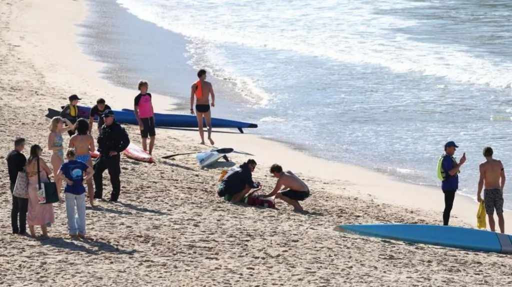 Female Suffers Serious Injuries After Shark Bite at Sydney's Coogee Beach