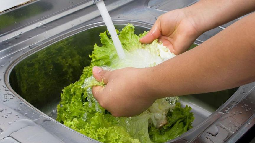 U.S. Officials Report First Deaths Amid Cyclospora ‘Explosive Diarrhoea’ Outbreak