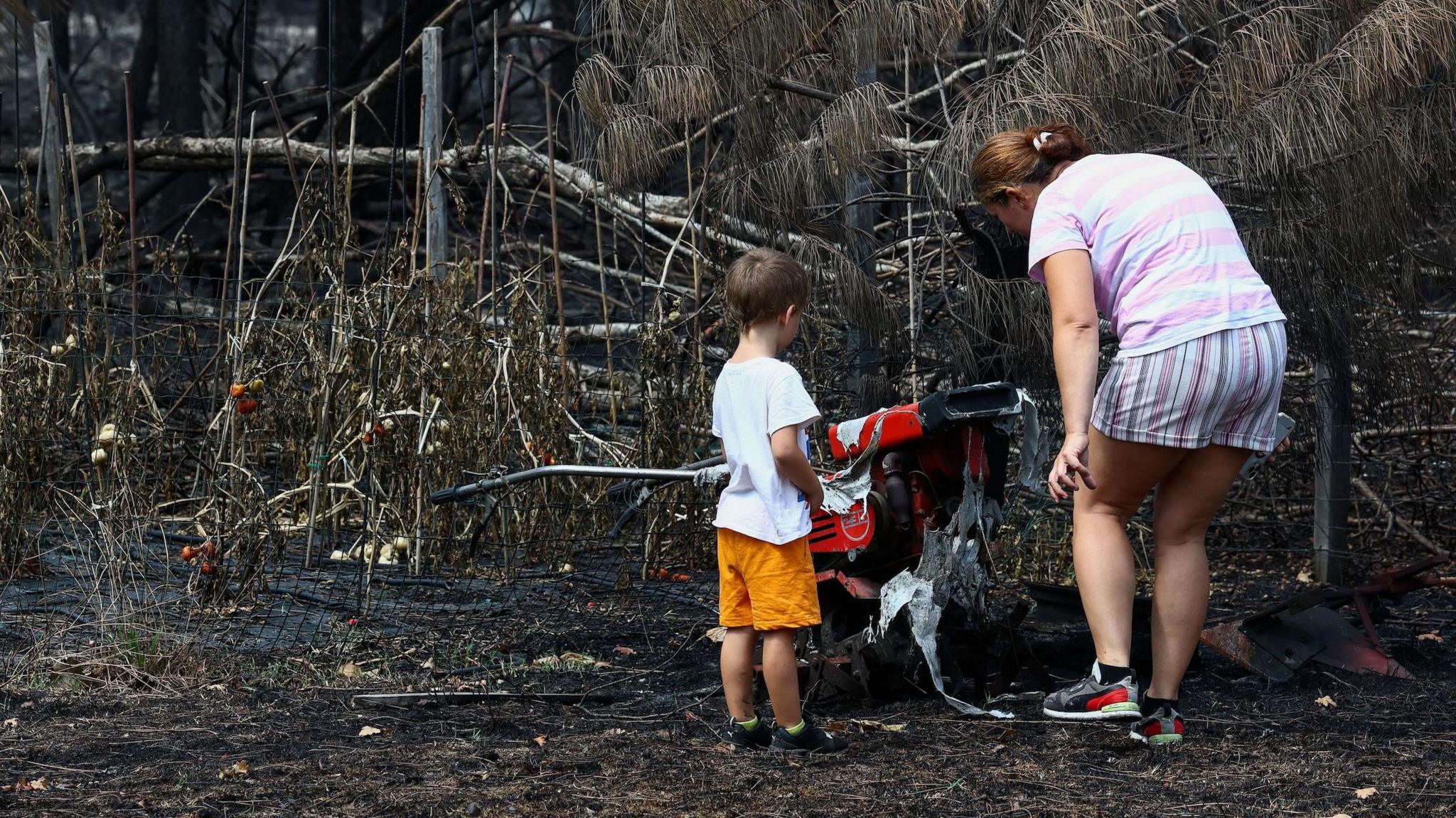 Wildfires in Southern France Uncover Hundreds of WWII Shells