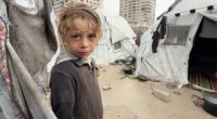 Urgent Appeal for Shelter in Gaza as Winter Approaches