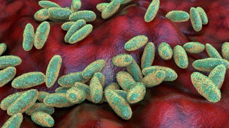 Plague in the Lab: Russia, WHO and the Global Response