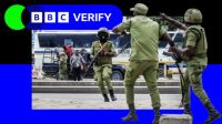 The recent protests in Tanzania following the controversial elections have resulted in a violent police response that has left hundreds dead and many more injured. Eyewitness accounts and video evidence reveal the scale of the violence.
