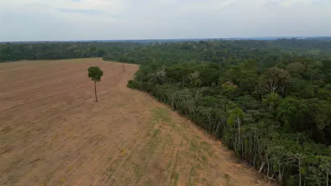 Threat to Brazil's Amazon: Possible Repeal of Key Conservation Ban