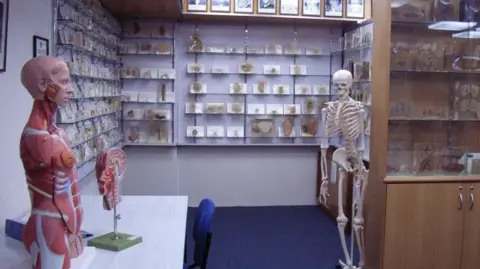 Tasmanian Government Issues Apology Over Decades-Old Body Parts Scandal