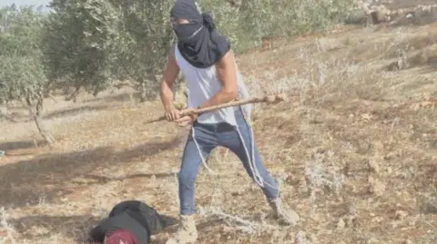Violence Escalates: Palestinian Woman Clubbed by Settler During Olive Harvest