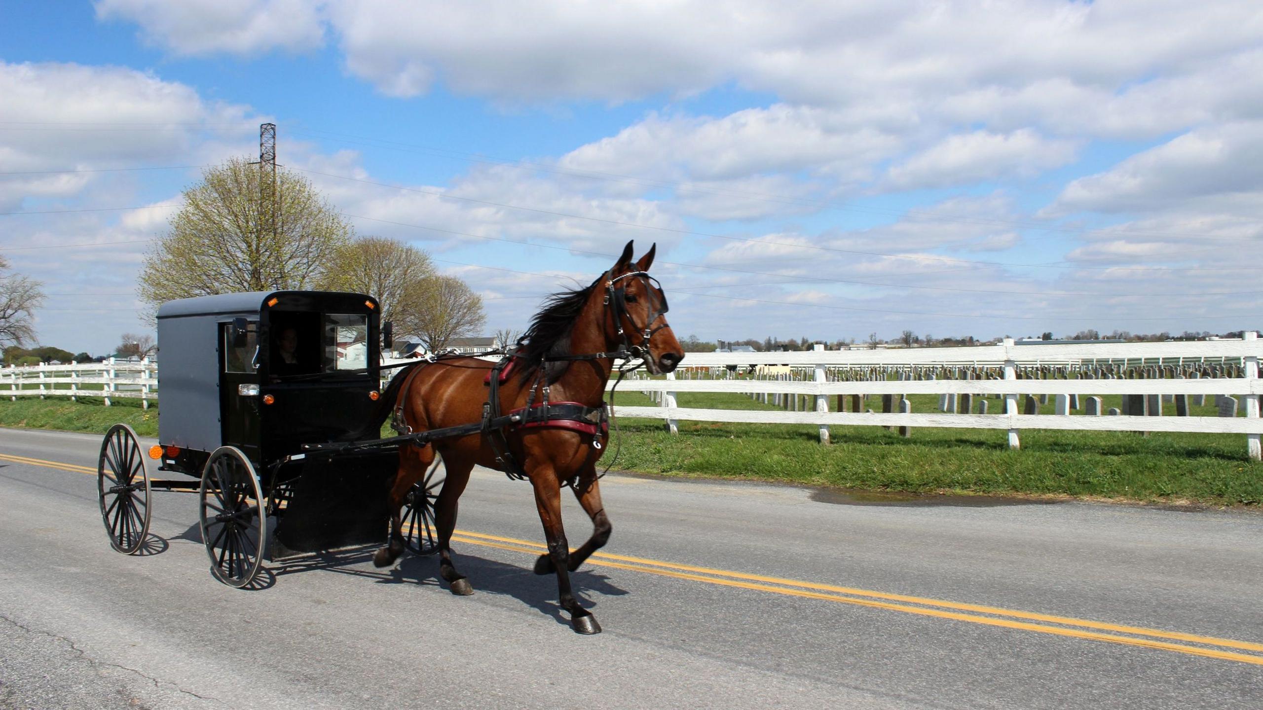 Door‑to‑door drive fights measles in Amish Pennsylvania