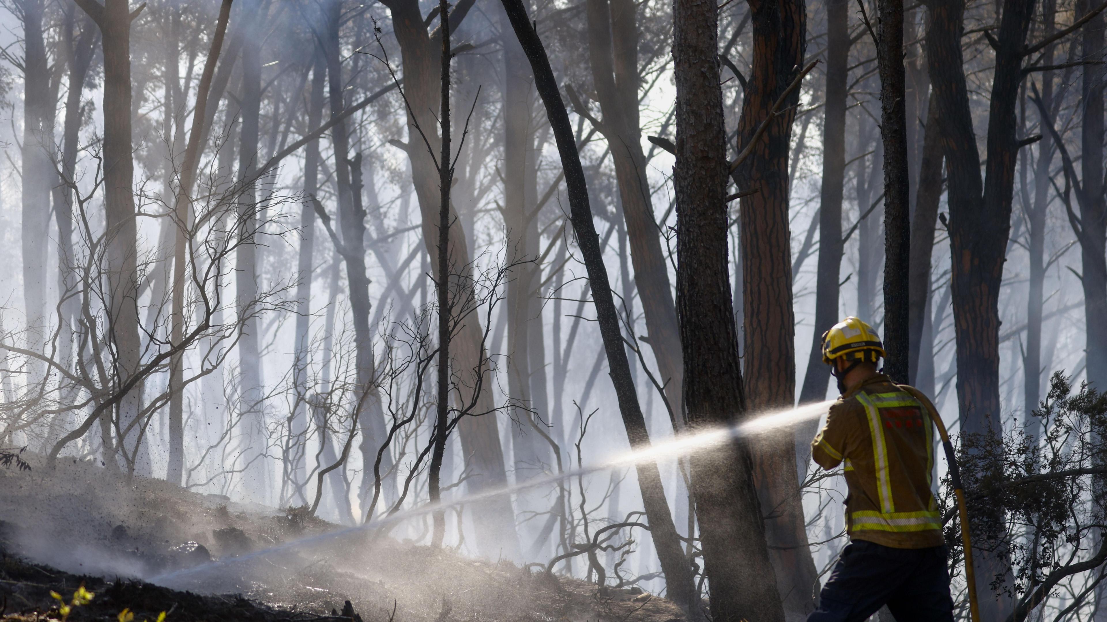 Spanish Wildfire Toll Reaches 12 as Heatwave Intensifies Across Southern Europe