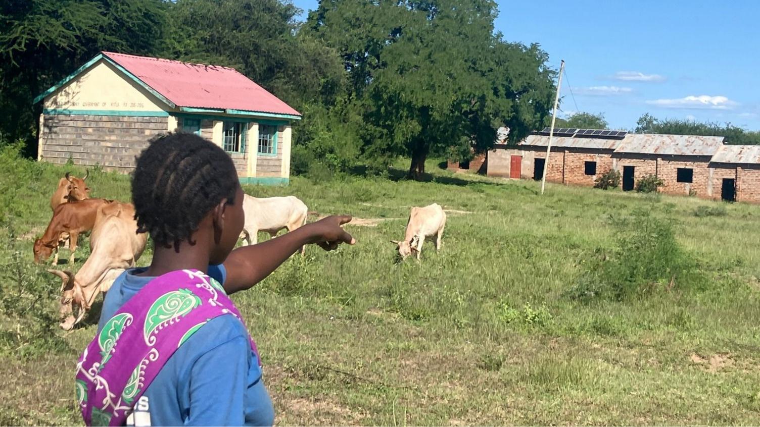 Rural Kenya Faces Mass School Closures as Low Enrolment Hits Curriculum