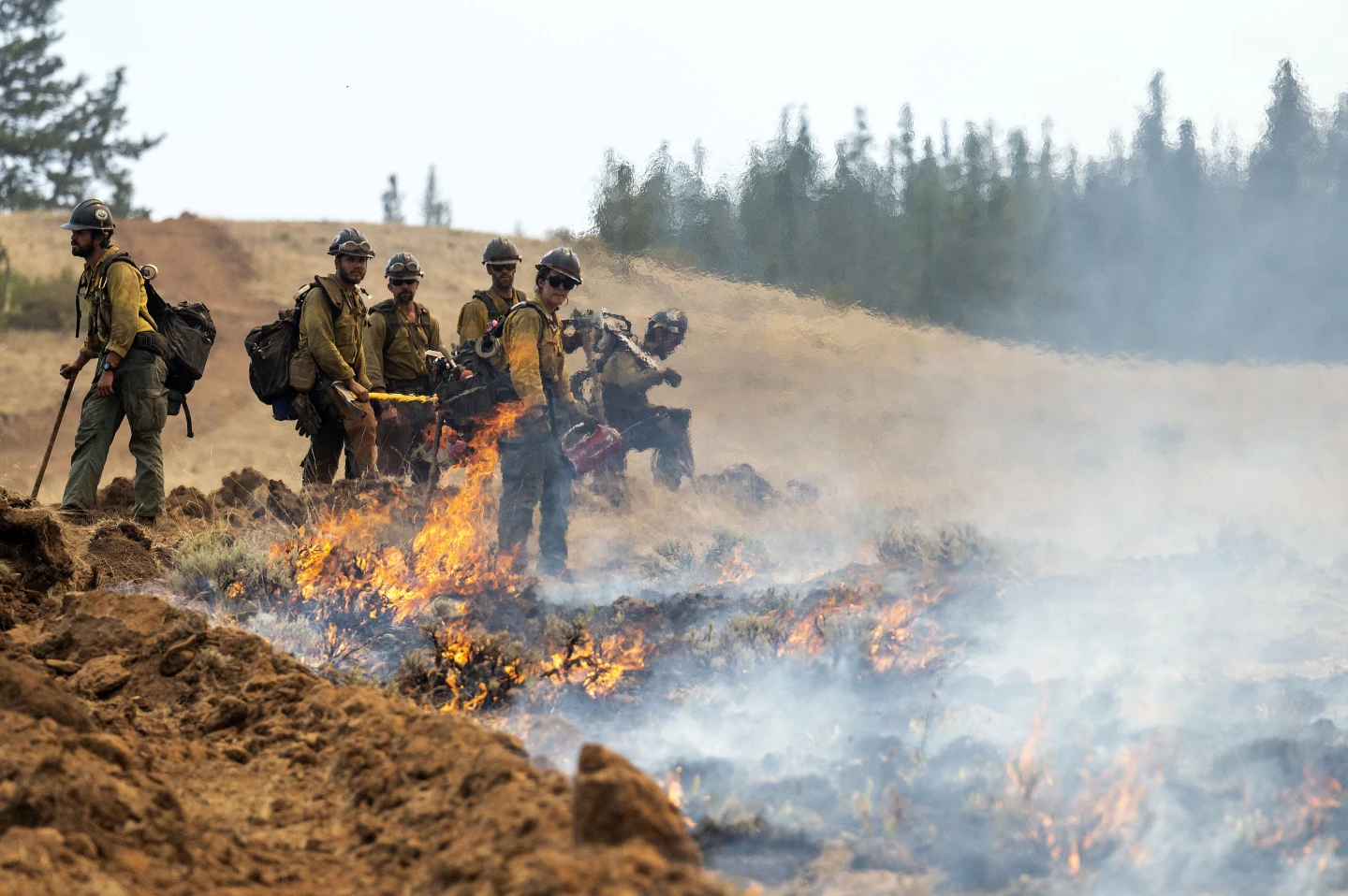 Oregon Firefighter Detained by Border Patrol Amid Wildfire Efforts