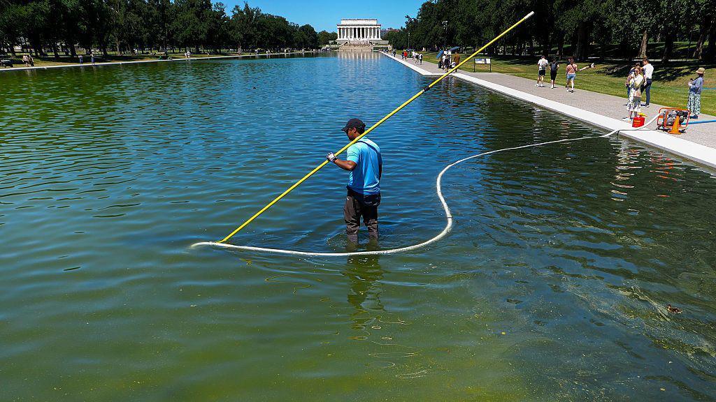 Former Olympian Declares Himself Innocent After Arrest for Washington Reflecting Pool Incident