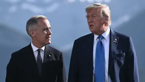 Mark Carney Seeks Trade Breakthrough in Meeting with Trump