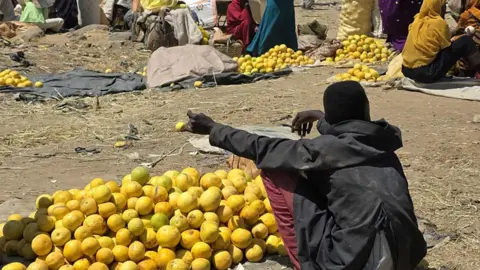 Farming Amidst Chaos: Food Wasted in War-Torn Sudan