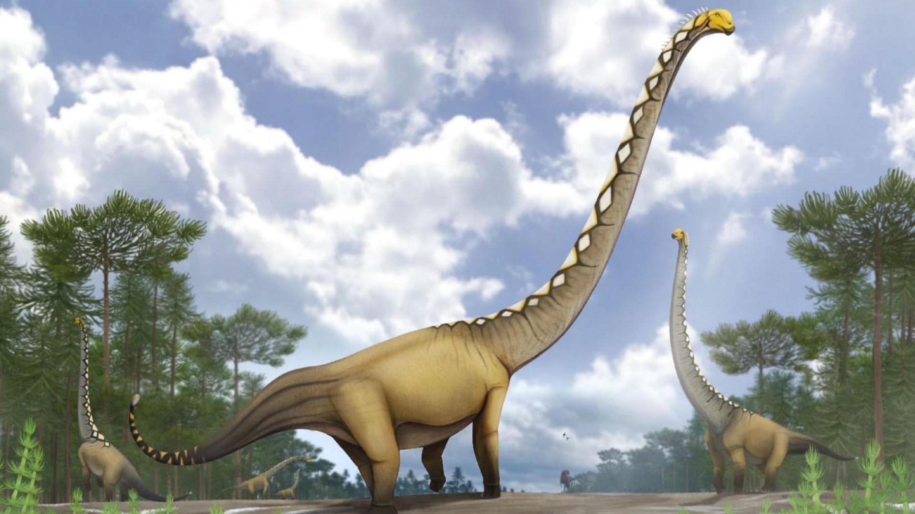 New dinosaur species with neck as long as a cricket pitch discovered in Thailand