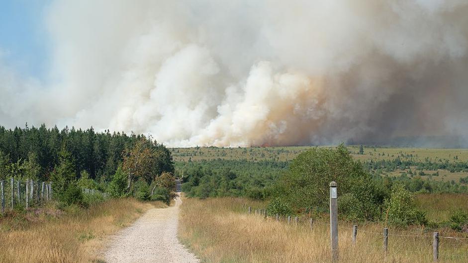 Wildfire Ravages Belgium’s High Fens, European Teams Respond