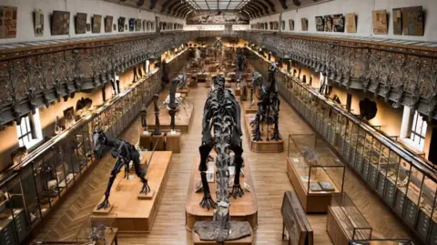 Major Gold Heist at Paris Museum: Chinese Woman Charged for Thefts