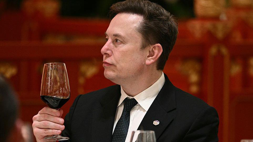 Elon Musk Urges People to 'Enjoy the Ride' as AI Risks Mount