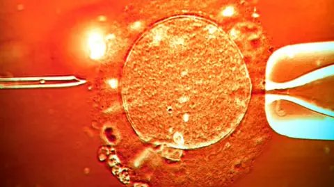 Controversy Erupts as Donor's Cancer-Linked Sperm Produces Nearly 200 Children