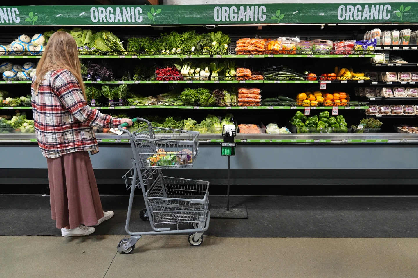 SNAP Benefits at Risk Amid Ongoing Government Shutdown